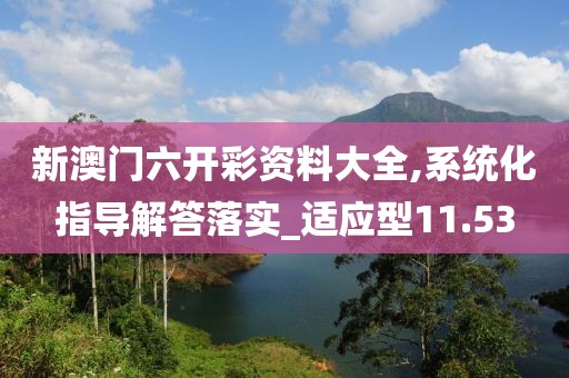 新澳门六开彩资料大全,系统化指导解答落实_适应型11.53