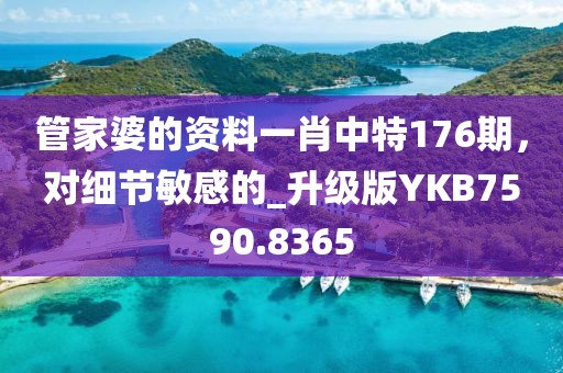 管家婆的资料一肖中特176期，对细节敏感的_升级版YKB7590.8365