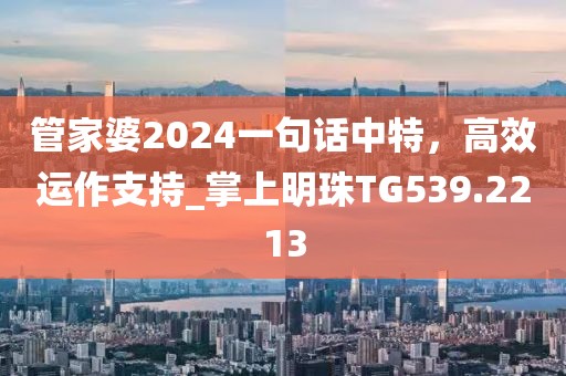 管家婆2024一句话中特，高效运作支持_掌上明珠TG539.2213