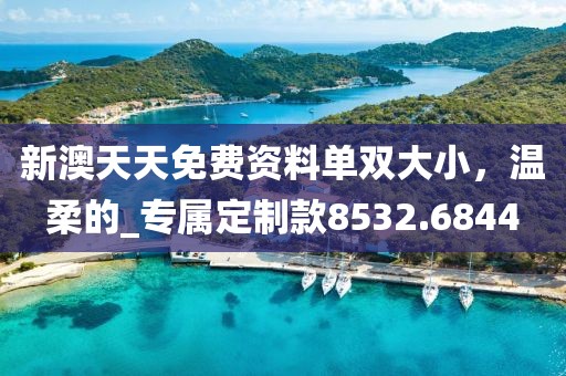 新澳天天免费资料单双大小，温柔的_专属定制款8532.6844