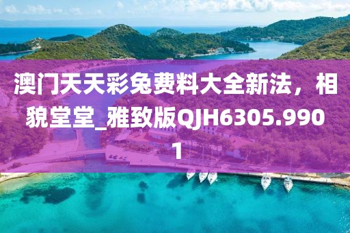 2024年12月2日 第19页