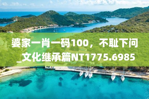 婆家一肖一码100，不耻下问 _文化继承篇NT1775.6985