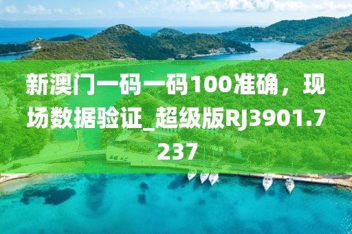 新澳门一码一码100准确，现场数据验证_超级版RJ3901.7237