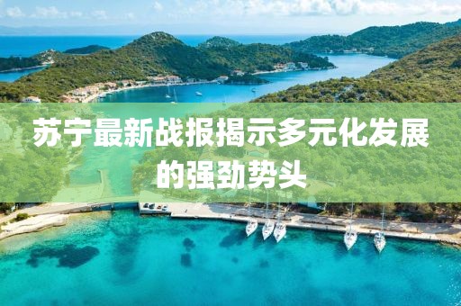 苏宁最新战报揭示多元化发展的强劲势头