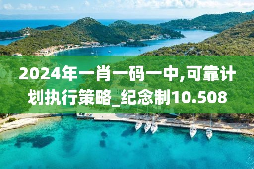 2024年一肖一码一中,可靠计划执行策略_纪念制10.508