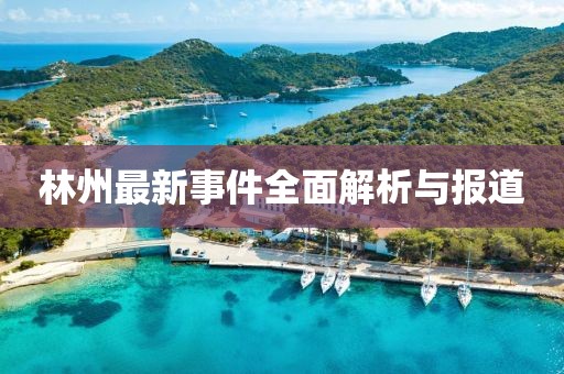 林州最新事件全面解析与报道