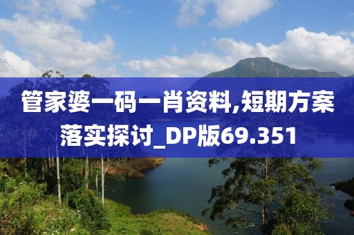 管家婆一码一肖资料,短期方案落实探讨_DP版69.351