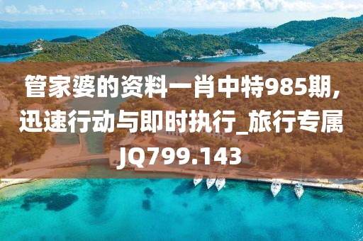 管家婆的资料一肖中特985期,迅速行动与即时执行_旅行专属JQ799.143