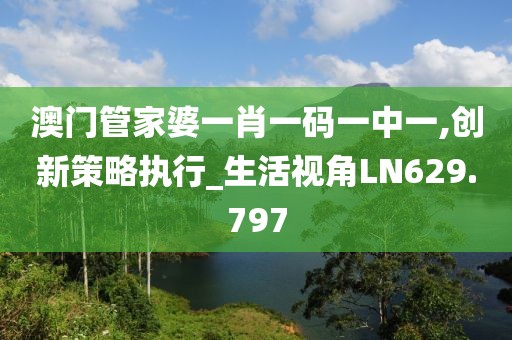 澳门管家婆一肖一码一中一,创新策略执行_生活视角LN629.797