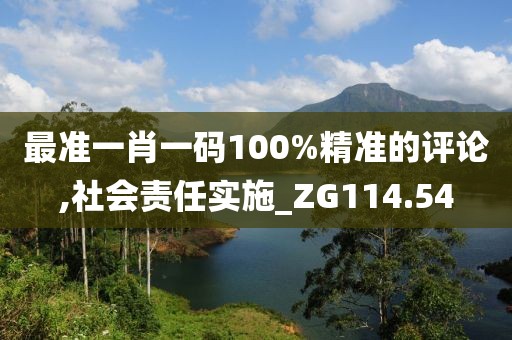 最准一肖一码100%精准的评论,社会责任实施_ZG114.54
