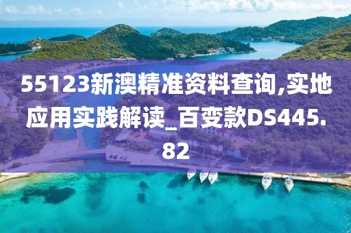 55123新澳精准资料查询,实地应用实践解读_百变款DS445.82