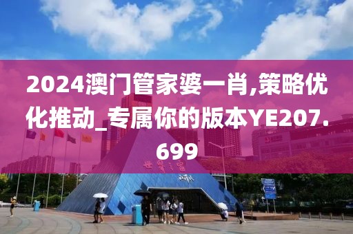 2024澳门管家婆一肖,策略优化推动_专属你的版本YE207.699