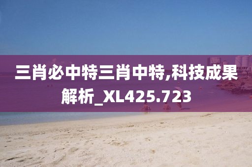 三肖必中特三肖中特,科技成果解析_XL425.723
