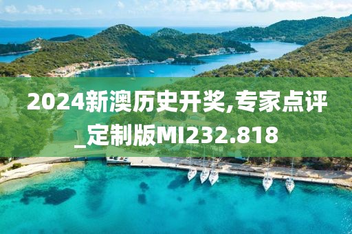 2024新澳历史开奖,专家点评_定制版MI232.818