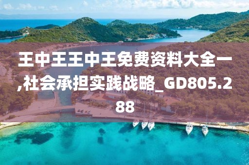 王中王王中王免费资料大全一,社会承担实践战略_GD805.288