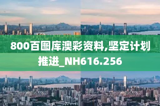 800百图库澳彩资料,坚定计划推进_NH616.256