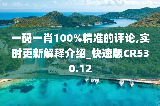 一码一肖100%精准的评论,实时更新解释介绍_快速版CR530.12