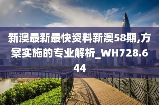 新澳最新最快资料新澳58期,方案实施的专业解析_WH728.644