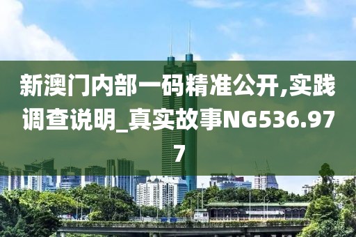 新澳门内部一码精准公开,实践调查说明_真实故事NG536.977