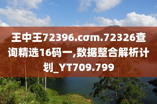 王中王72396.cσm.72326查询精选16码一,数据整合解析计划_YT709.799