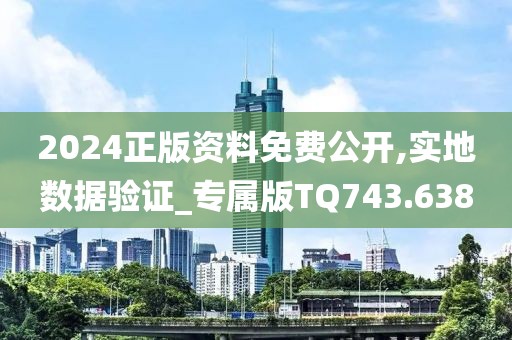 2024正版资料免费公开,实地数据验证_专属版TQ743.638