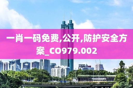 一肖一码免费,公开,防护安全方案_CO979.002