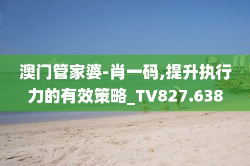 澳门管家婆-肖一码,提升执行力的有效策略_TV827.638
