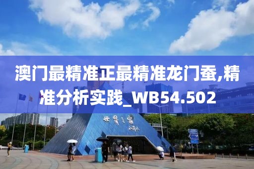 澳门最精准正最精准龙门蚕,精准分析实践_WB54.502