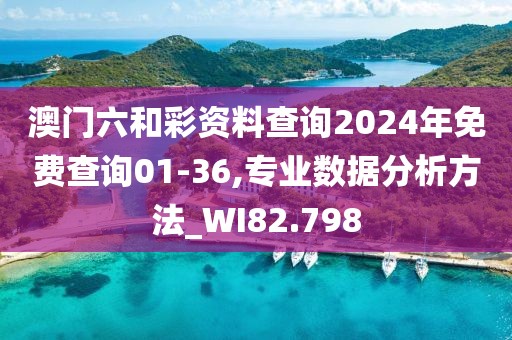 澳门六和彩资料查询2024年免费查询01-36,专业数据分析方法_WI82.798
