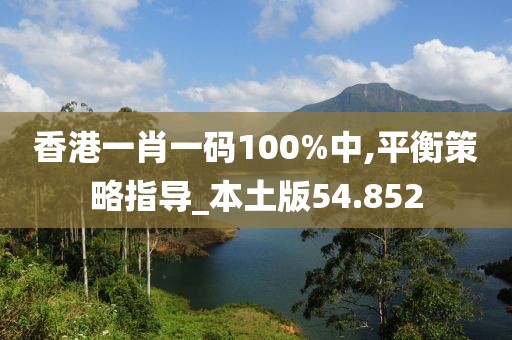 香港一肖一码100%中,平衡策略指导_本土版54.852