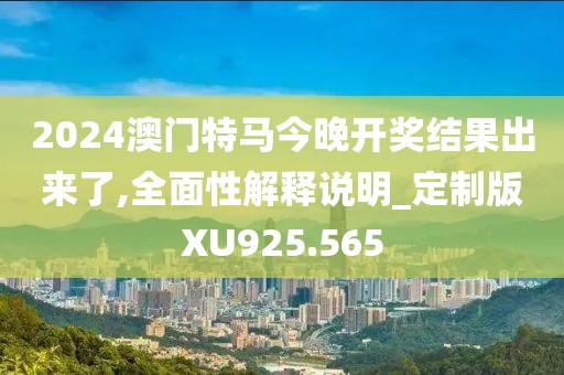 2024澳门特马今晚开奖结果出来了,全面性解释说明_定制版XU925.565