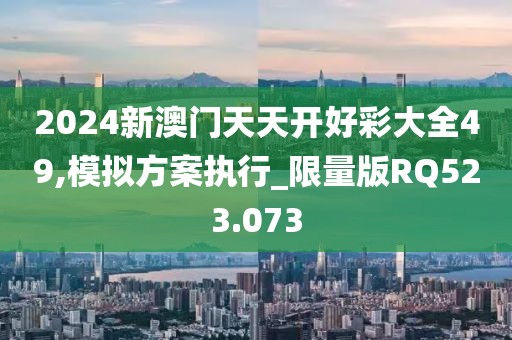 2024新澳门天天开好彩大全49,模拟方案执行_限量版RQ523.073