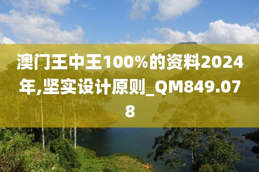 澳门王中王100%的资料2024年,坚实设计原则_QM849.078
