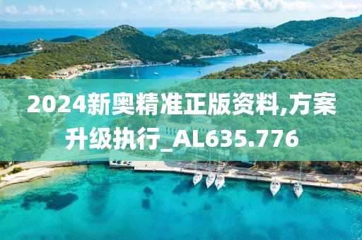2024新奥精准正版资料,方案升级执行_AL635.776