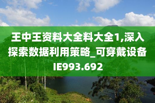 王中王资料大全料大全1,深入探索数据利用策略_可穿戴设备IE993.692