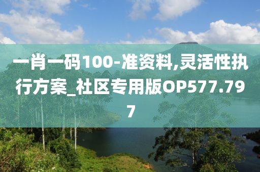 一肖一码100-准资料,灵活性执行方案_社区专用版OP577.797