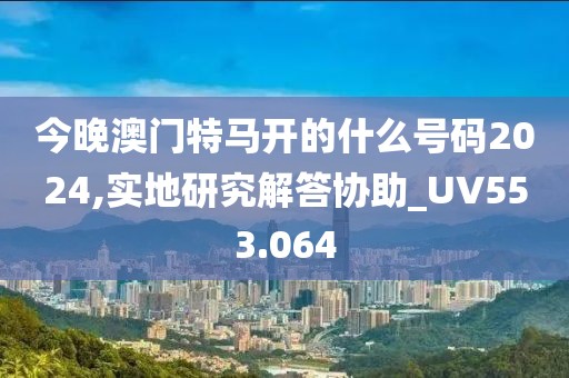 今晚澳门特马开的什么号码2024,实地研究解答协助_UV553.064
