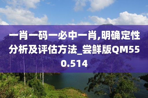 一肖一码一必中一肖,明确定性分析及评估方法_尝鲜版QM550.514