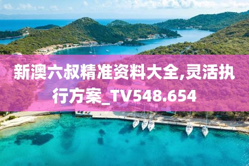 新澳六叔精准资料大全,灵活执行方案_TV548.654