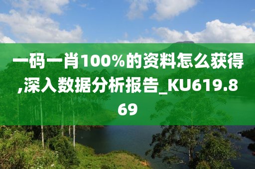 一码一肖100%的资料怎么获得,深入数据分析报告_KU619.869