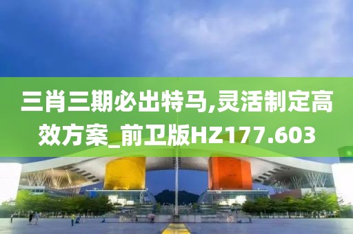 三肖三期必出特马,灵活制定高效方案_前卫版HZ177.603