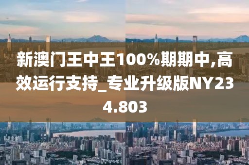 新澳门王中王100%期期中,高效运行支持_专业升级版NY234.803