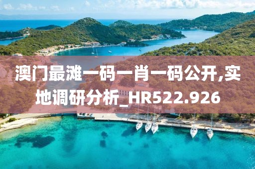 澳门最滩一码一肖一码公开,实地调研分析_HR522.926