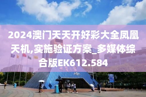 2024澳门天天开好彩大全凤凰天机,实施验证方案_多媒体综合版EK612.584