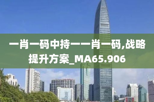 一肖一码中持一一肖一码,战略提升方案_MA65.906