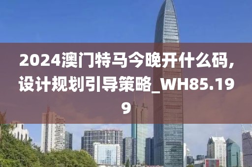 2024澳门特马今晚开什么码,设计规划引导策略_WH85.199