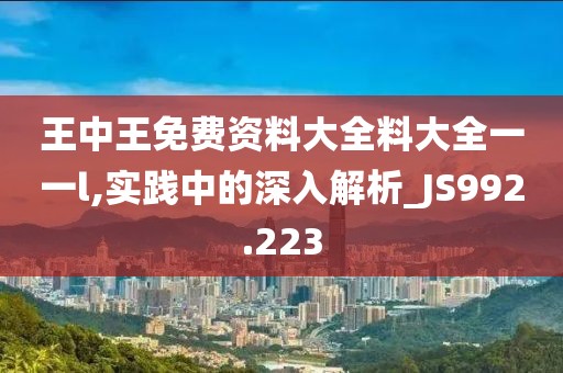 王中王免费资料大全料大全一一l,实践中的深入解析_JS992.223