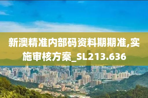 新澳精准内部码资料期期准,实施审核方案_SL213.636