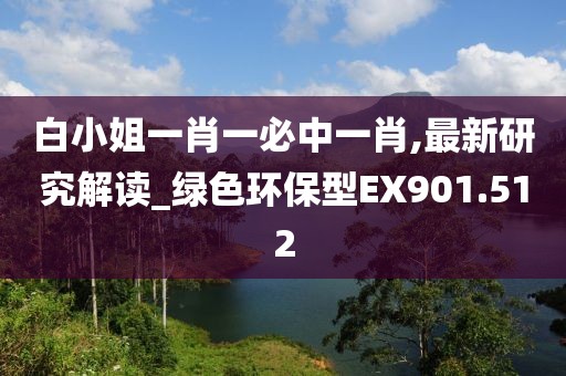 白小姐一肖一必中一肖,最新研究解读_绿色环保型EX901.512