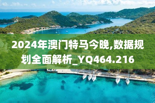 2024年澳门特马今晚,数据规划全面解析_YQ464.216